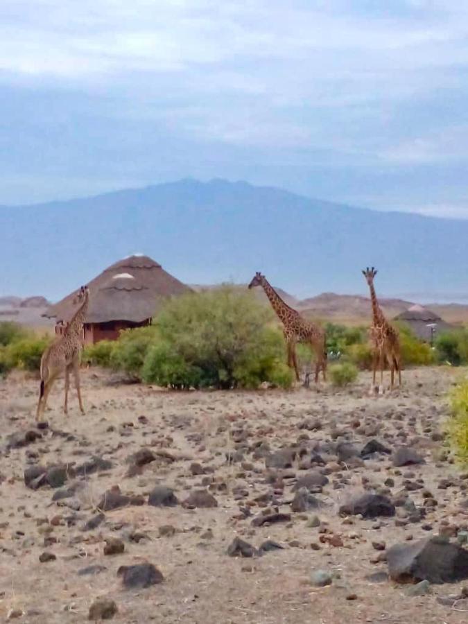 Africa Safari Lake Natron Camping Mtowabaga Esterno foto